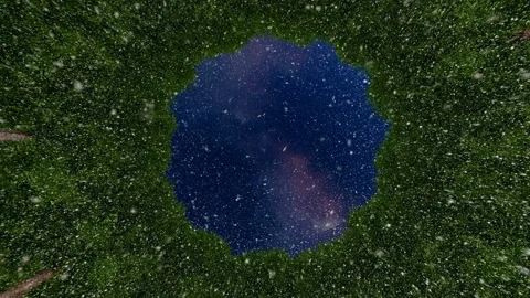 Looking up through a circle of  trees forest snow falling Stock Footage 144122609