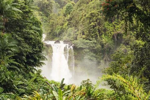 Looking through a clearing in the forest at Akaka Falls Stock Photos