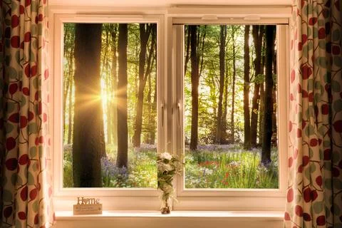 Looking through closed window to beautiful flower forest landscape Stock Photos