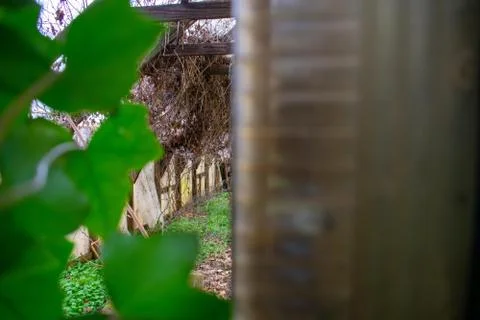 Looking Through a Crack in a Door Inside an Abandoned Greenhouse Foto stock