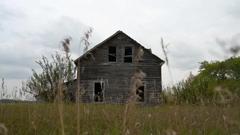Looking through dry grass at an abandoned wooden farmhouse as grass moves in the Stock Footage 306478989