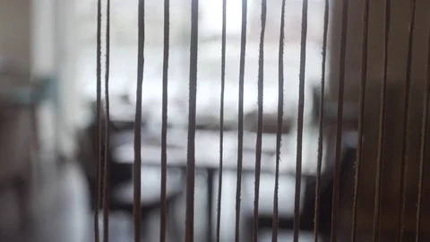 Looking through glass wall Stock Footage 75193491