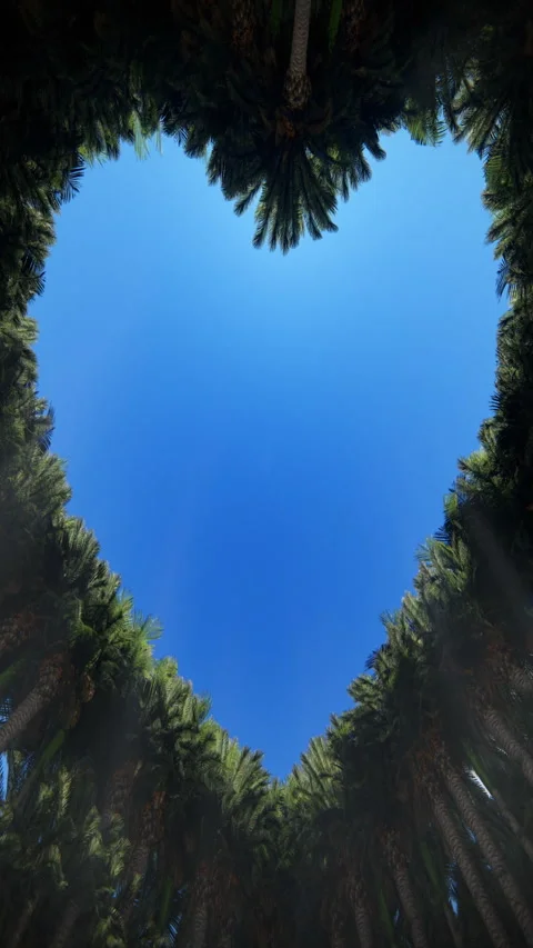 Looking up through a heart of trees against timelapse clouds, seamless loop, ver Stock Footage 282374113