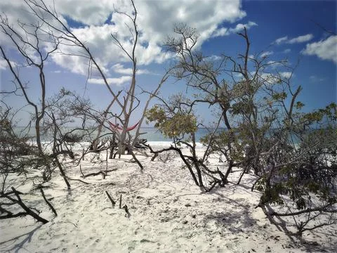 Looking through mangroves to the ocean and a single red hammock Stock Photos