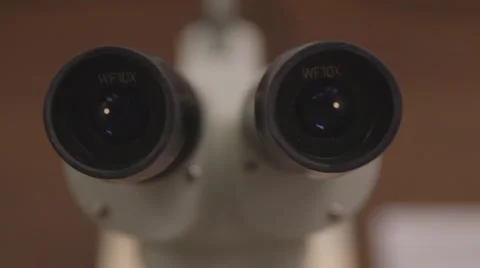 Looking Through a Microscope Video stock 53267606