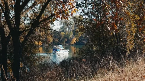 Looking through oak trees at a boat traveling on the sacramento river Stock Footage 260220163