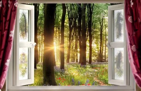 Looking through open window to amazing flower forest landscape Stock Photos