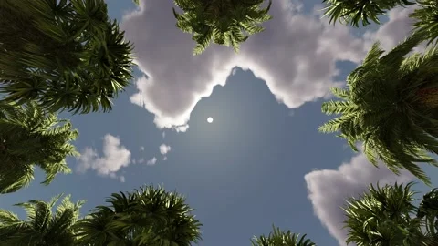 Looking up through the palm trees at the sky and clouds. Video stock 229499291
