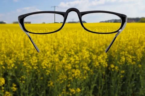 Looking through Foto stock