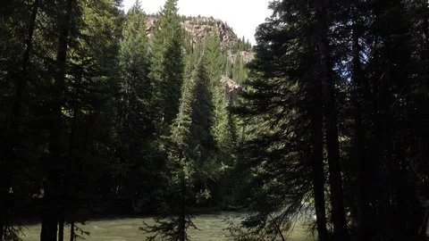 Looking through Pine trees across the river to the The mountain behind Stock Footage 118730665