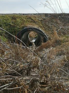 LOOKING  THROUGH a PIPE  under  WAY Stock Photos