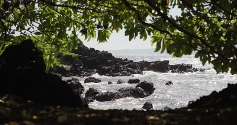 Looking through rocks and tree branches towards a rocky Maui coastline. Stock Footage 134597079