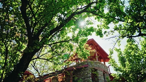 Looking Up Through Spring Trees At A Stone Winery Tower Stock Footage 345909197