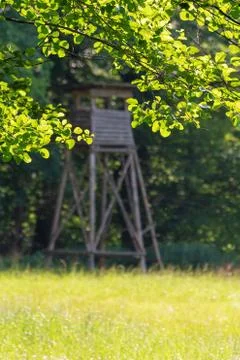 Looking through tree branches pass the meadow with hunting blind in background Stock-Fotos