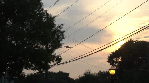 Looking Through Tree Leaves and Power Lines During Sunset 库存影片 166815552