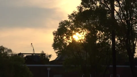 Looking Through Tree Leaves In City During Sunset 库存影片 166815549