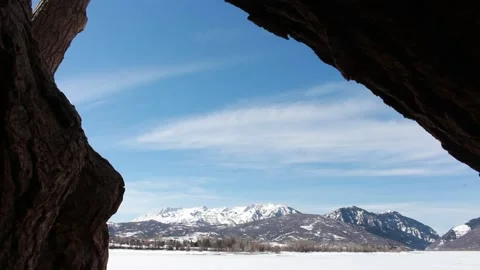 Looking Through Tree Utah Frozen Lake Mountains 스톡 동영상 210541196