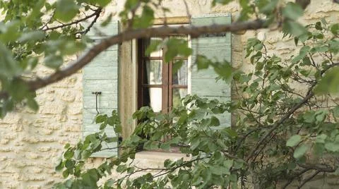 Looking through a tree at a window with green shutters Foto stock