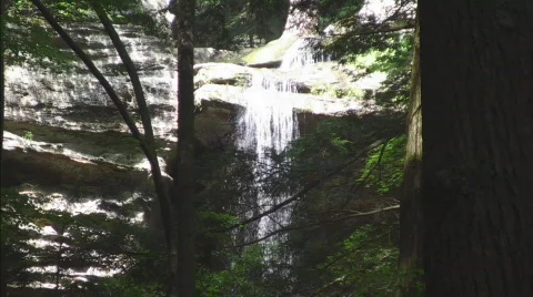 Looking through Trees to Cedar Falls Stock Footage 761586