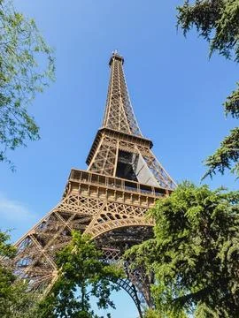 Looking up through trees at Eiffel Tower in Paris, France. Stock Photos