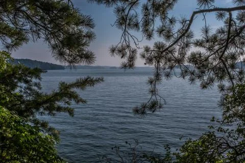 Looking through the trees at the lake Stock Photos