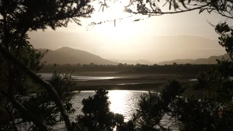 Looking through trees at the River Fleet Sutherland Stock Footage 278433337