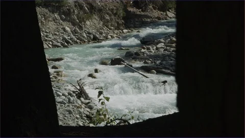 Looking Through Trees to River Stock Footage 121136233