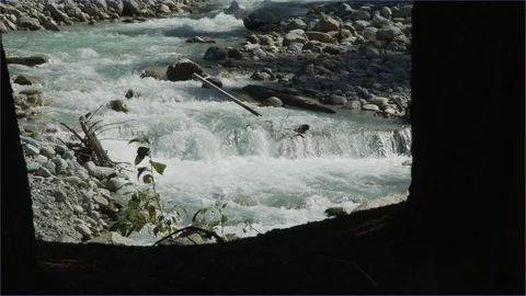 Looking Through the Trees to a Running River Stock Footage 121135989