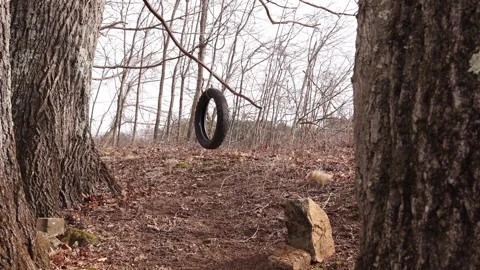 Looking through trees at a tire swing Stock Footage 270102168