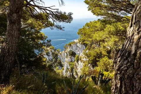 Looking through vegetation that is framing a deep blue of the Mediterranean S 스톡 사진