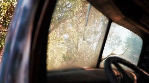 Looking through vintage car windshield to trees Video stock 171363031
