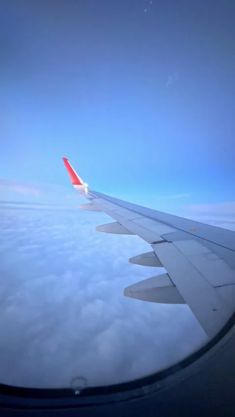 Looking through window aircraft during flight in wing with a nice blue sky.  Stock Footage 265598996