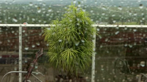Looking through the window on a rainy day Stock Footage 292284279