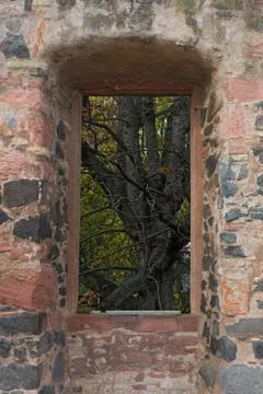 Looking through the window of a ruined castle on a tree Stock Photos