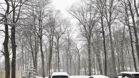 Looking through window at snow falling on backyard and cars in February in New J Vídeo Stock 344814739