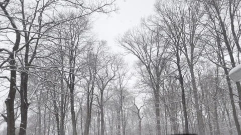 Looking through window at snow falling on backyard and cars in February in New J Vídeo Stock 344814769