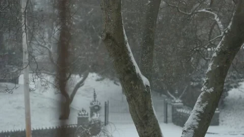Looking Through a Window at a Tree in a Snowstorm Stock Footage 145167690