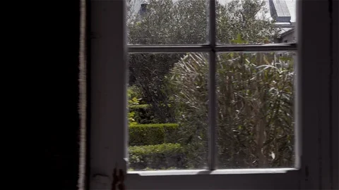 Looking through windows to a beautiful garden Stock Footage 115901550
