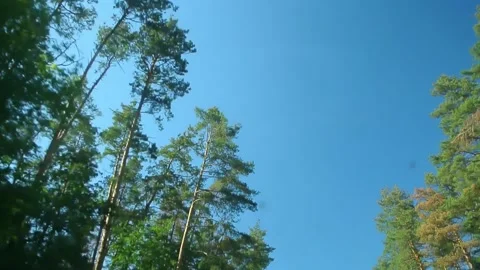 Looking through windshield up in blue sky at summer sunny day. Wide angle view Stock Footage 184553305