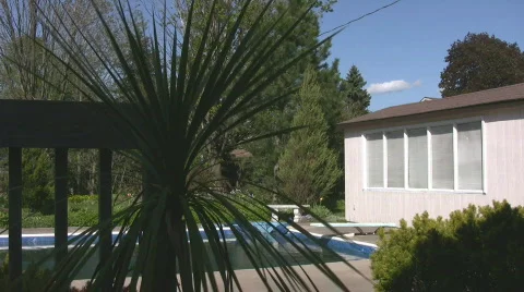 Looking through Yucca plant at backyard pool Stock Footage 575422