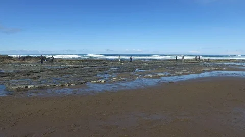 Looking in Tide Pools on the Beach Stock Footage 87927257