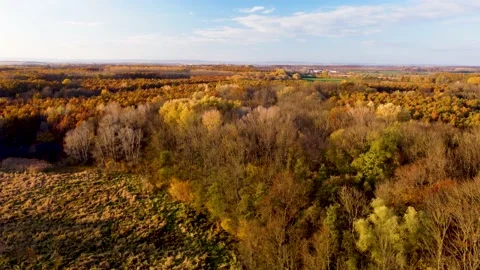 Looking at the top of the autumn colored trees when flying up. Opening scene 库存影片 164916665