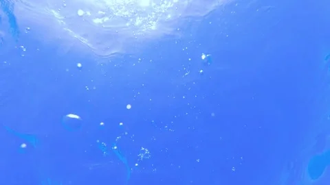 Looking towards Blue Sky then Diving Underwater, Slow Motion Stock Footage 202701142