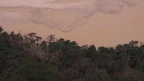 Looking towards Dunes Of Pilat from forest Stock Footage 102506331