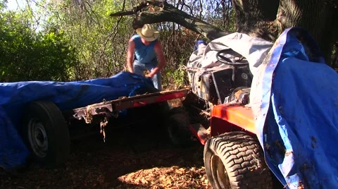 Looking for treasures Video stock 41238273