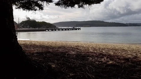 Looking from a tree to a beach with a dock Stock Footage 83182762