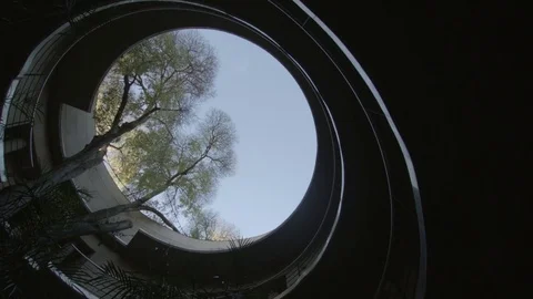 Looking up at tree inside a building Stockbeeldmateriaal 83541825
