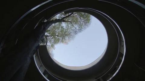 Looking up at tree inside a building Stockbeeldmateriaal 83541858