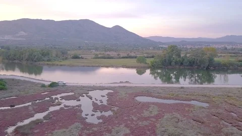 Looking the tree of orosei with a drone Stock Footage 80613180