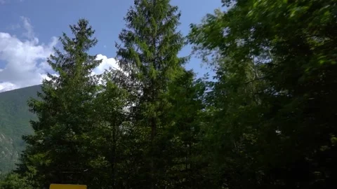 Looking up at trees and mountains on bright sunny day Stock Footage 159857849